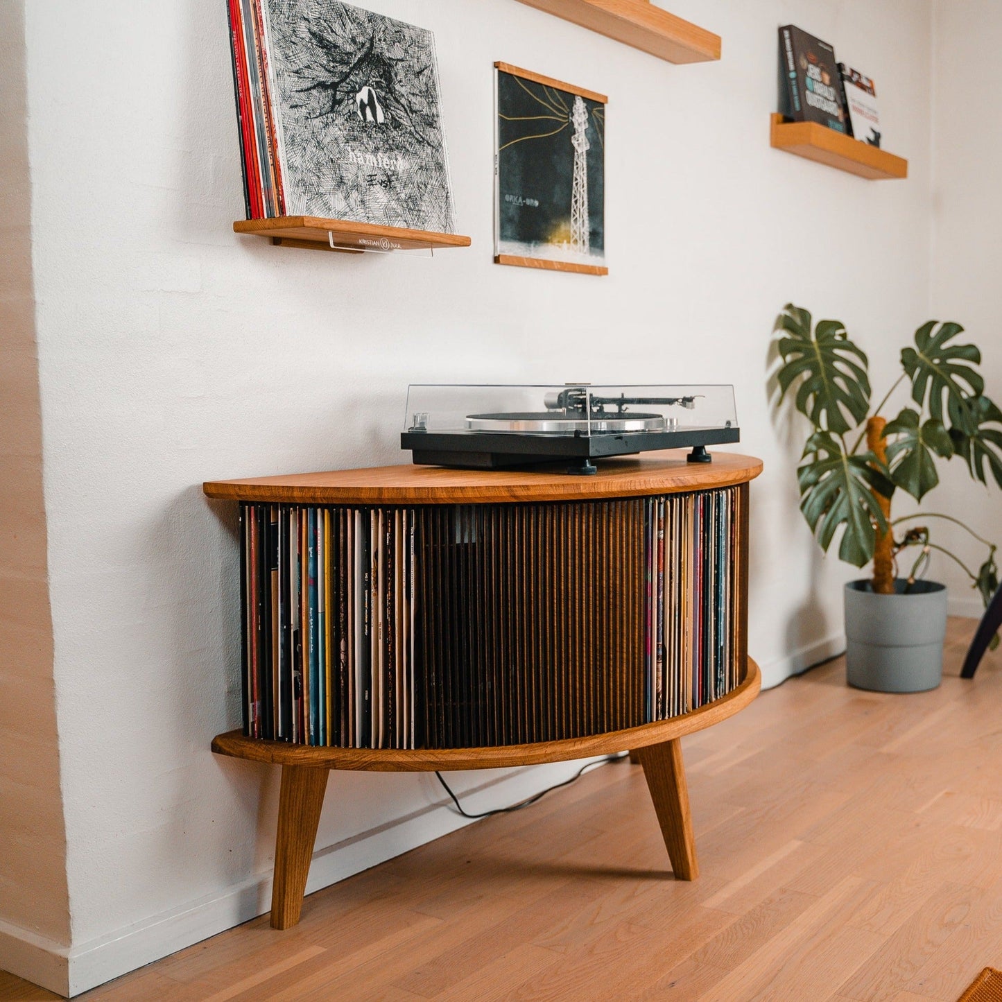 Vinyl Display & Storage Rack